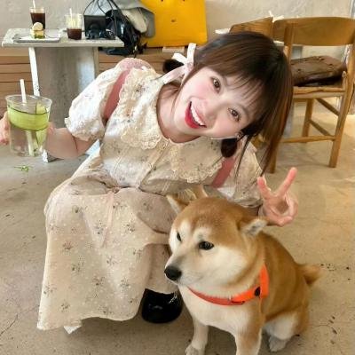 精灵宝可梦：大家的故事